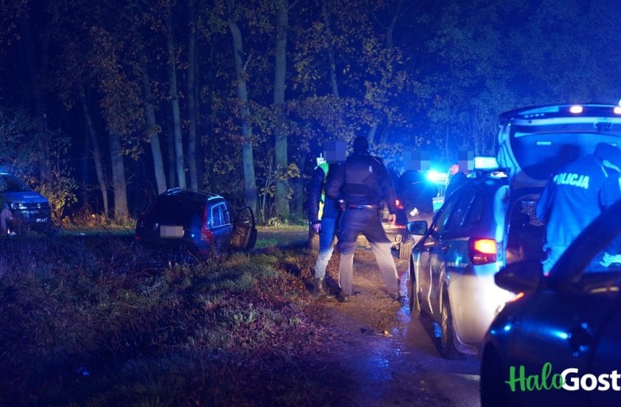 Smogorzewo: strzały, auto w rowie, trwa policyjna obława. [AKTUALIZACJA]: Sprawę przejęła KWP Poznań