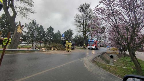 Drzeczewska-w-Piaskach-1