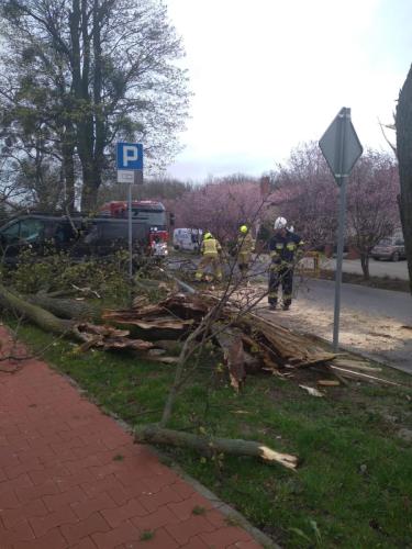 Drzeczewska-w-Piaskach-1