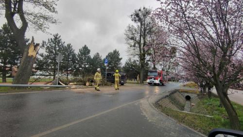 Drzeczewska-w-Piaskach-2