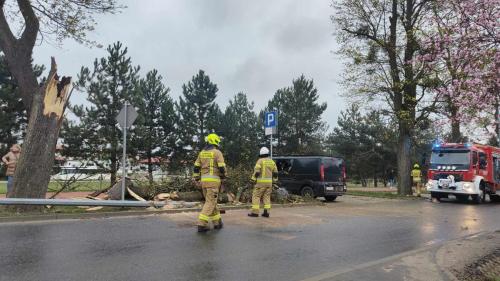 Drzeczewska-w-Piaskach-3